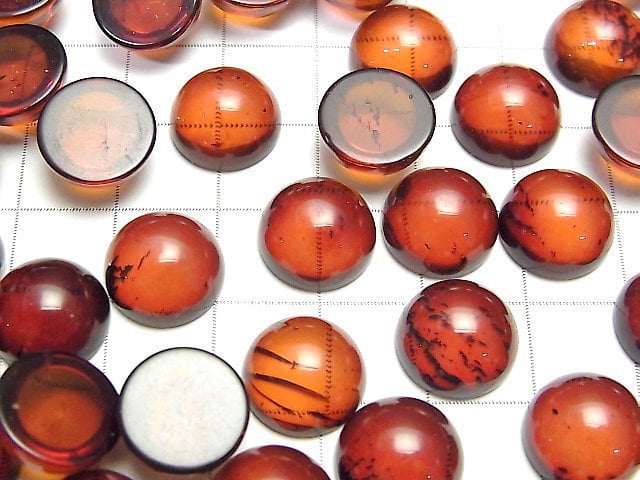 [Video] Baltic Amber Round Cabochon 12x12mm 2pcs