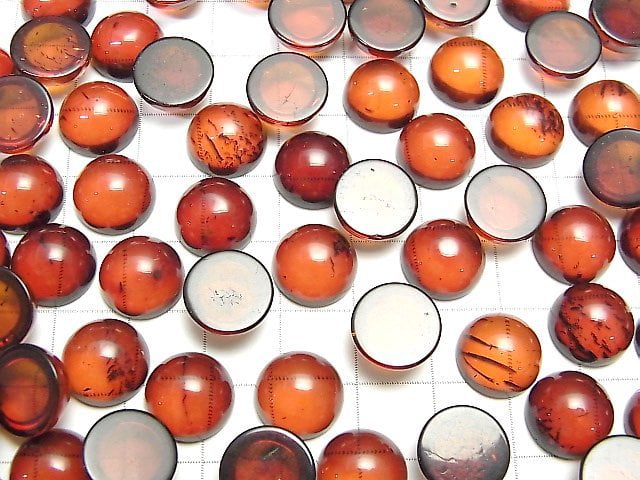 [Video] Baltic Amber Round Cabochon 12x12mm 2pcs