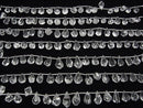 [Video] High Quality Crystal AAA Rough Drop Faceted Briolette half or 1strand beads (aprx.7inch / 18cm)
