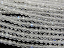 [Video] High Quality! Rainbow Moonstone AAA-Faceted Round 2mm 1strand beads (approx. 15 inches/38 cm)