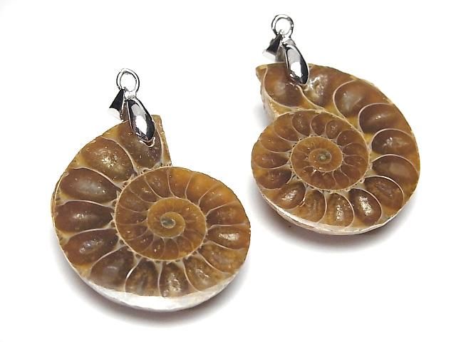 [Video] Madagascar Ammonite Pendant (1 pair)