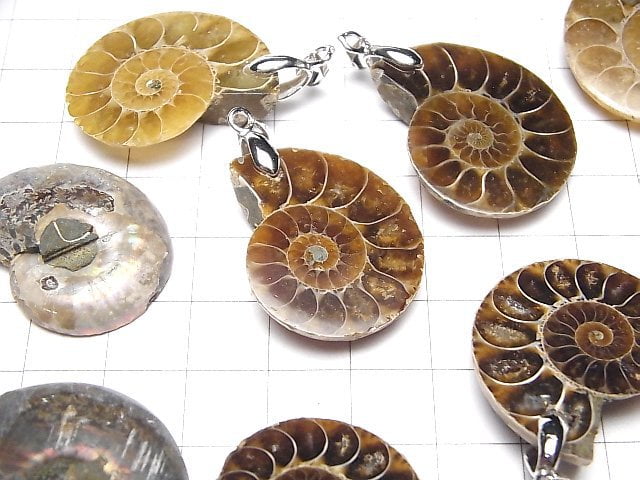 [Video] Madagascar Ammonite Pendant 2pcs