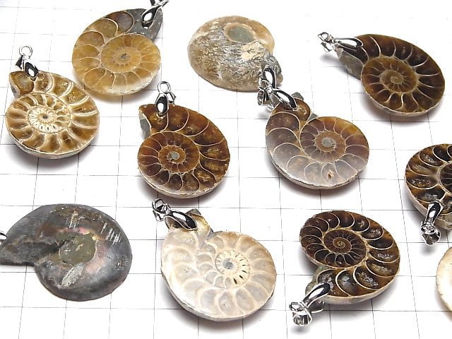 [Video] Madagascar Ammonite Pendant 2pcs