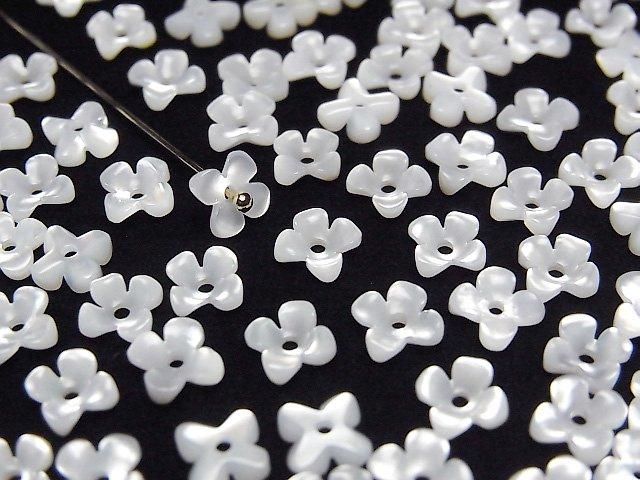 高品質白蝶貝（銀唇牡蠣）AAA花（4個）6mm中孔4個