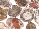 [Video]Petrified Wood Raw Slice 1pc