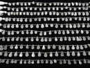 [Video] White Moonstone AAA Rough Drop Faceted Briolette 1strand beads (aprx.7inch / 18cm)