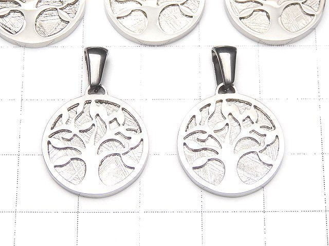 [Video] Meteorite Tree of Life Designed Coin Pendant 17mm Silver925