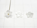 [Video] High Quality White Shell (Silver-lip Oyster) AAA Flower 6-20mm Center Hole 5pcs