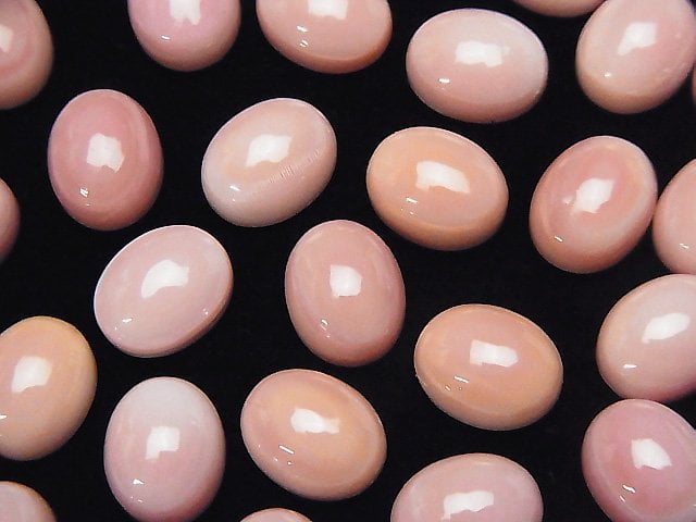 Queen Conch Shell AAA Oval Cabochon 10x8mm 1pc