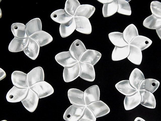 [Video] High-Quality White Shell AAA Flower 20mm 2pcs