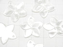 [Video] High Quality White Shell AAA Flower 20mm 2pcs