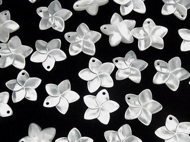 [Video] High-Quality White Shell AAA Flower 20mm 2pcs