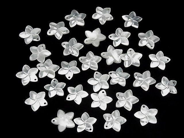 [Video] High-Quality White Shell AAA Flower 20mm 2pcs