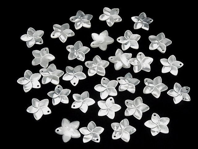 [Video] High Quality White Shell AAA Flower 20mm 2pcs