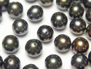 Pearl, Round Pearl & Shell Beads