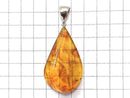 [Video] [One of a kind] Insect Baltic Amber Pendant Silver925 NO.2