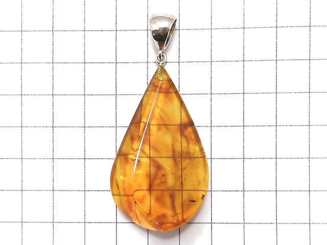[Video] [One of a kind] Insect Baltic Amber Pendant Silver925 NO.2
