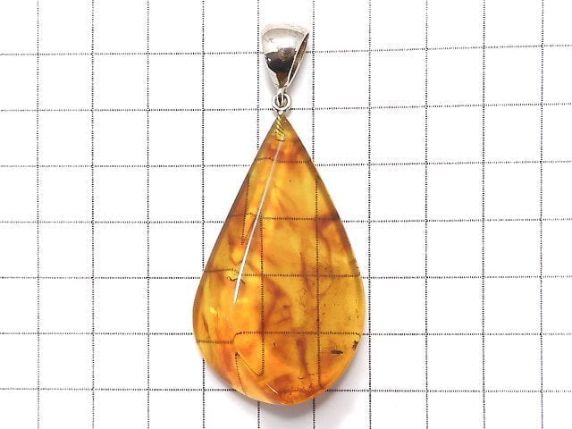 [Video] [One of a kind] Insect Baltic Amber Pendant Silver925 NO.2