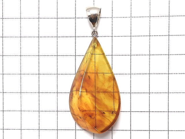 [Video] [One of a kind] Insect Baltic Amber Pendant Silver925 NO.3