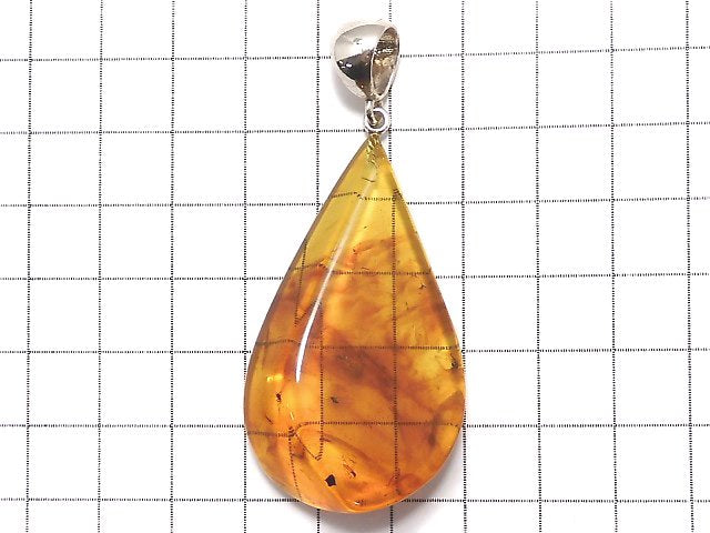 [Video] [One of a kind] Insect Baltic Amber Pendant Silver925 NO.6