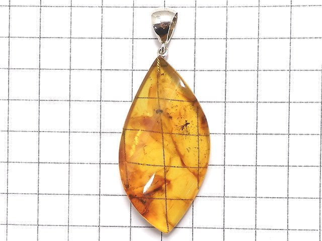 [Video] [One of a kind] Insect Baltic Amber Pendant Silver925 NO.8