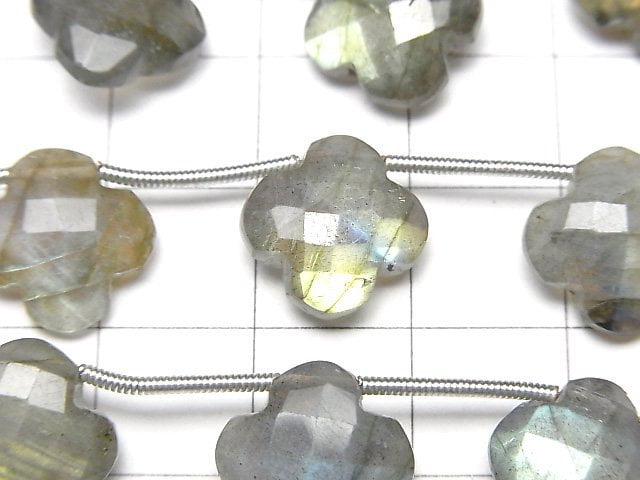 [Video]Labradorite AA+ Flower Motif 12x12x5mm 1strand (9pcs)