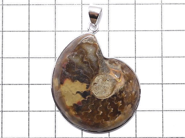 [Video] [One of a kind] Ammonite Pendant Silver925 NO.3