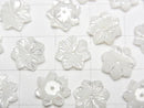 [Video] Mother of Pearl MOP White Flower 10mm Center Hole 4pcs