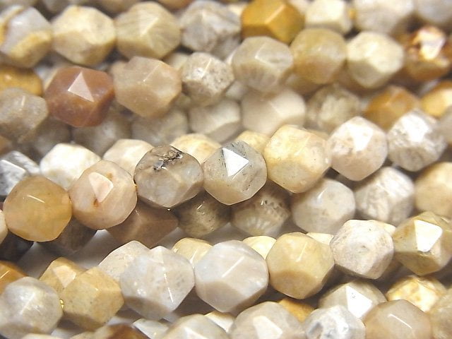 Coral, Faceted Round Natural Beads