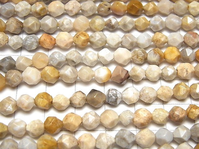 Fossil Coral  24Faceted Round 6mm 1strand beads (aprx.15inch/36cm)