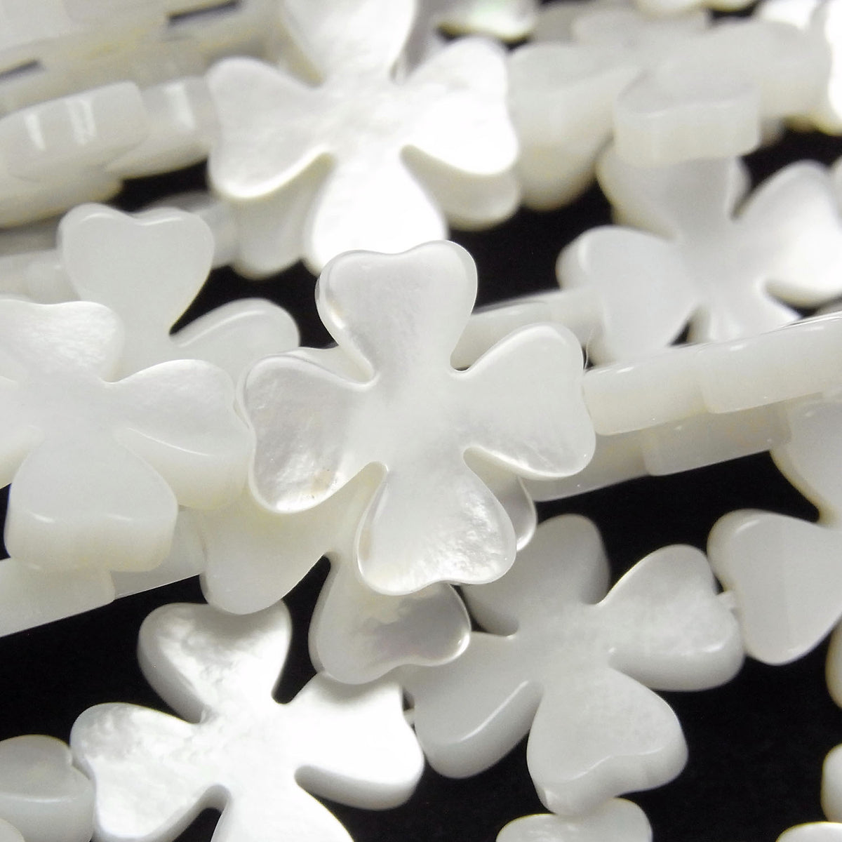High quality white shell (Silver-lip Oyster) flower motif 15x15x3mm 1/4 or 1strand beads (aprx.15inch/36cm)