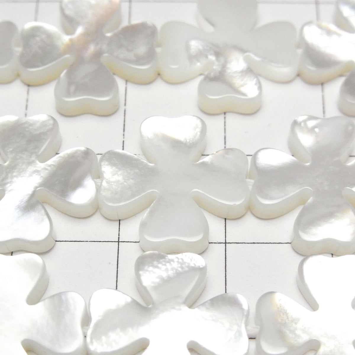 High quality white shell (Silver-lip Oyster) flower motif 15x15x3mm 1/4 or 1strand beads (aprx.15inch/36cm)