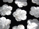 [Video] High Quality White Shell (Silver-lip Oyster )AAA Flower 38mm White 1pc