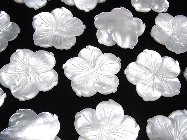 [Video] High Quality White Shell (Silver-lip Oyster )AAA Flower 38mm White 1pc