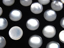 Mother of Pearl (Shell Beads) Pearl & Shell Beads