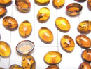 [Video] Cracked Baltic Amber Oval Cabochon 8x6mm 5pcs