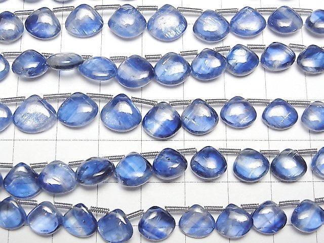 [Video]High Quality Kyanite AAA- Chestnut (Smooth) half or 1strand beads (aprx.7inch/18cm)