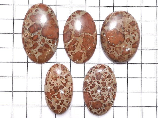 [Video][One of a kind] Asteroid Jasper Cabochon 5pcs set NO.15