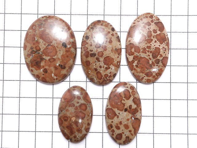 [Video][One of a kind] Asteroid Jasper Cabochon 5pcs set NO.16