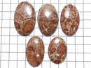 [Video][One of a kind] Asteroid Jasper Cabochon 5pcs set NO.17