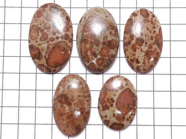 [Video][One of a kind] Asteroid Jasper Cabochon 5pcs set NO.17