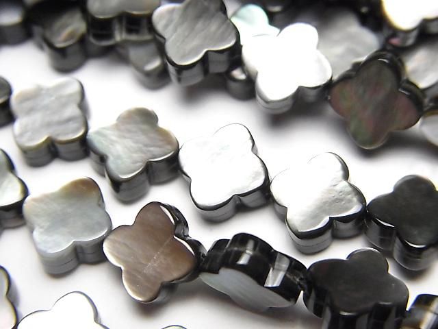 [Video] High-quality Black-lip Oyster Shell beads (AAA size, flower motif, 8x8x3.5mm, 1/4-1 strand) (approx. 15 inches/38 cm)