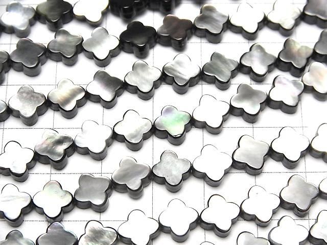 [Video] High-quality Black-lip Oyster Shell beads (AAA size, flower motif, 8x8x3.5mm, 1/4-1 strand) (approx. 15 inches/38 cm)