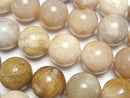 [Video]Fossil Coral Round 16mm half or 1strand beads (aprx.15inch/36cm)