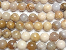 [Video]Fossil Coral Round 16mm half or 1strand beads (aprx.15inch/36cm)