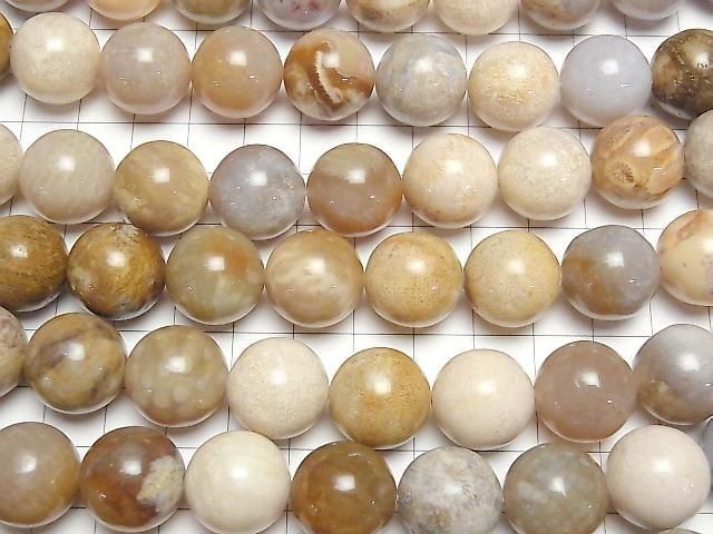 [Video]Fossil Coral Round 16mm half or 1strand beads (aprx.15inch/36cm)