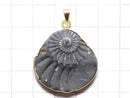[Video][One of a kind] Ammonite Pyrite Pendant 18KGP NO.122