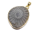 Accessories, Ammolite/Ammonite, One of a kind, Pendant One of a kind