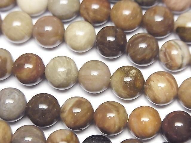 [Video]Petrified Wood Round 8mm half or 1strand beads (aprx.15inch/37cm)