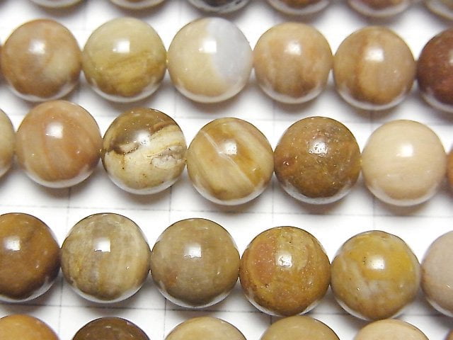 [Video]Petrified Wood Round 8mm half or 1strand beads (aprx.15inch/37cm)